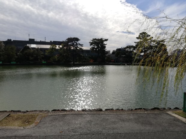 猿沢池
